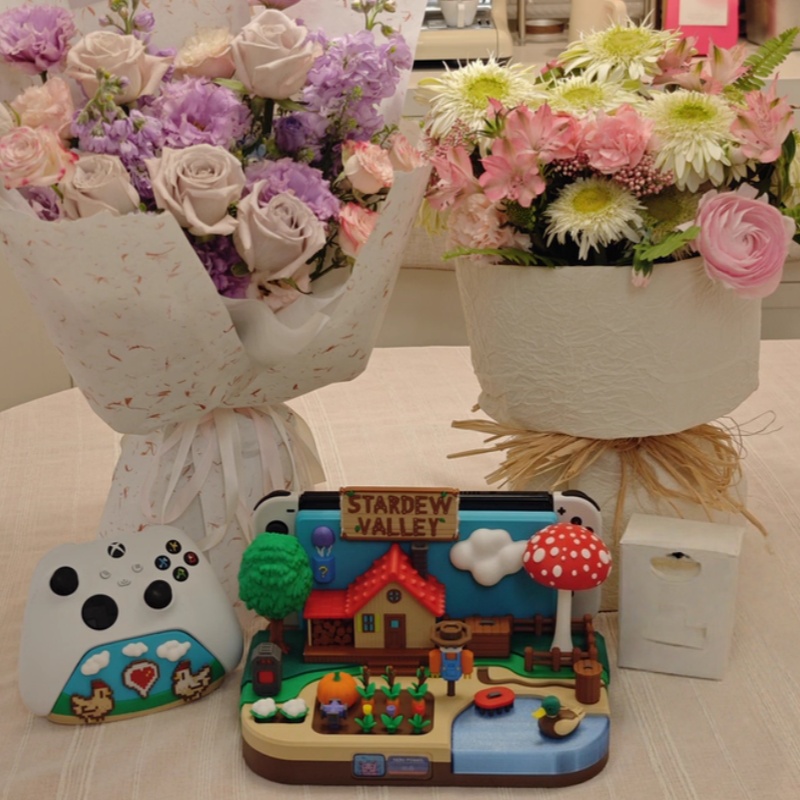 حامل شحن زخرفي بتصميم Stardew  - مراجعة Gaming Console Free وسعره